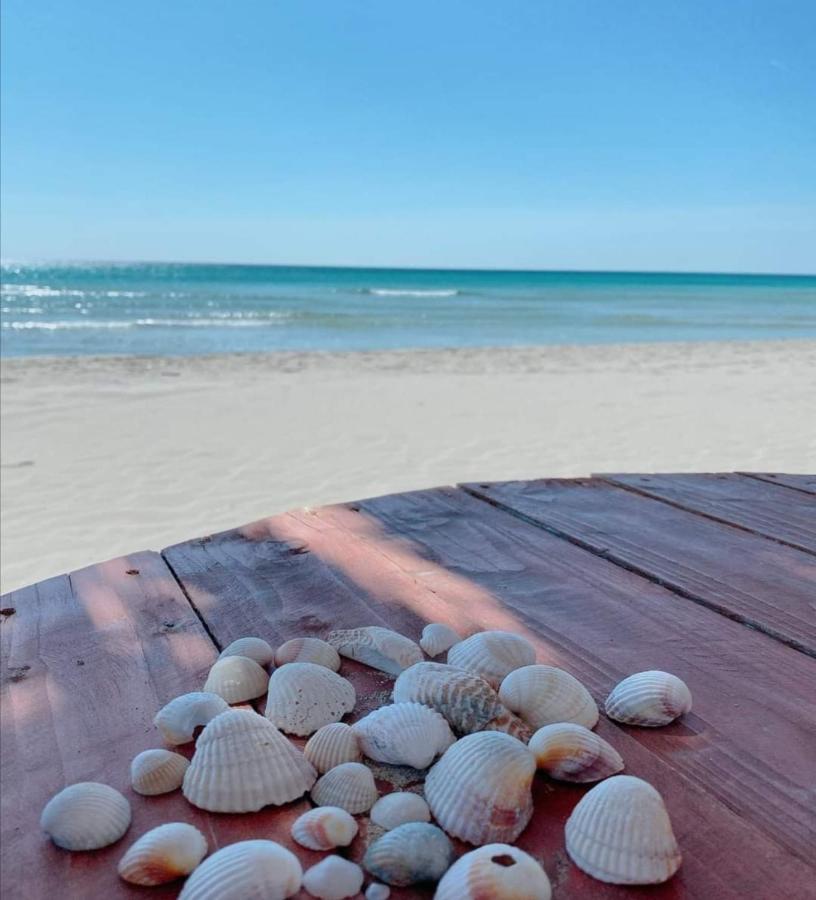 La Dolce Vita - Apartment With Shared Pool And Large Terrace Lido delle Nazioni Luaran gambar